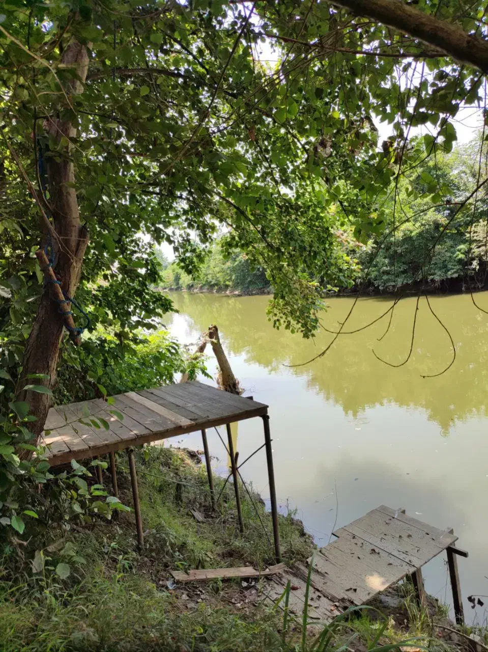 ویلاباغ دربست با رودخانه اختصاصی|اجارهٔ کوتاه‌مدت ویلا و باغ|رشت, بوسار|دیوار