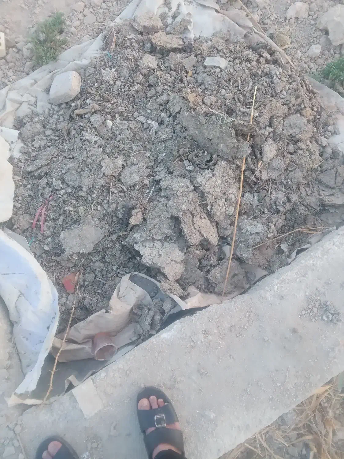 رامشیر|لوازم جانبی حیوانات|رامشیر, |دیوار