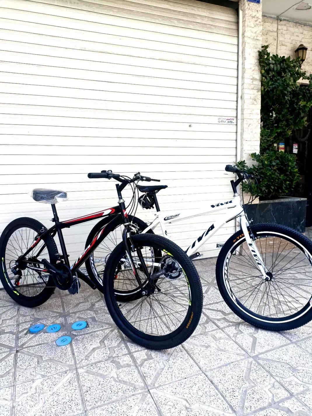 دوچرخه سادول|دوچرخه، اسکیت، اسکوتر|مشهد, جاهد شهر|دیوار