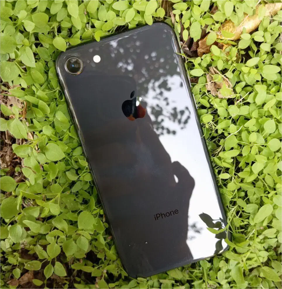 iPhone 8|موبایل|اصفهان, احمدآباد|دیوار