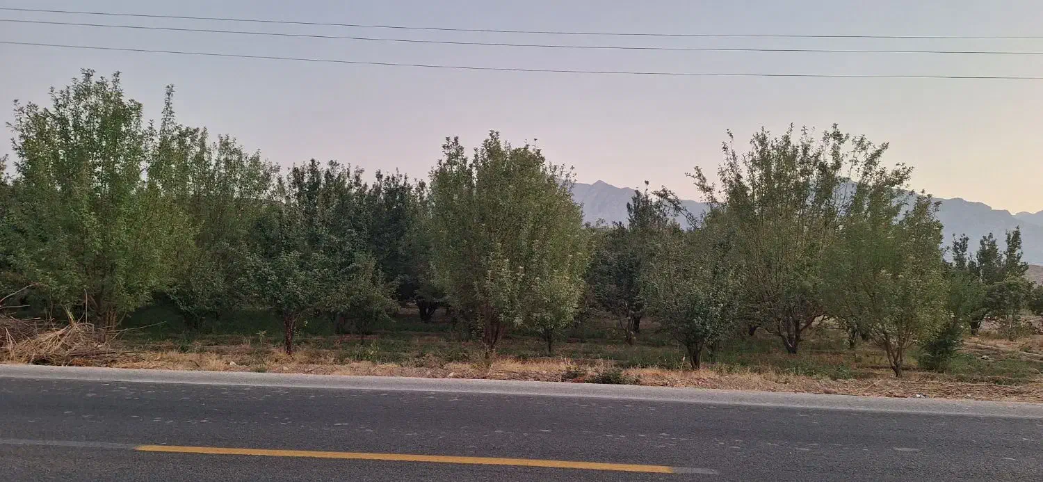 فروش باغ|فروش زمین و ملک کلنگی|رونیز, |دیوار