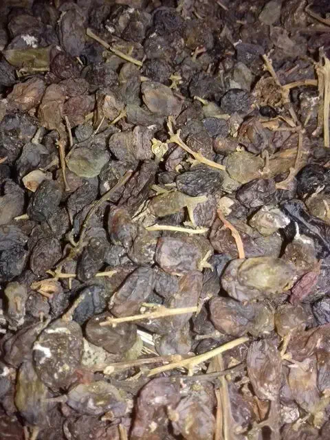 کشمش|خوردنی و آشامیدنی|کمیجان, |دیوار