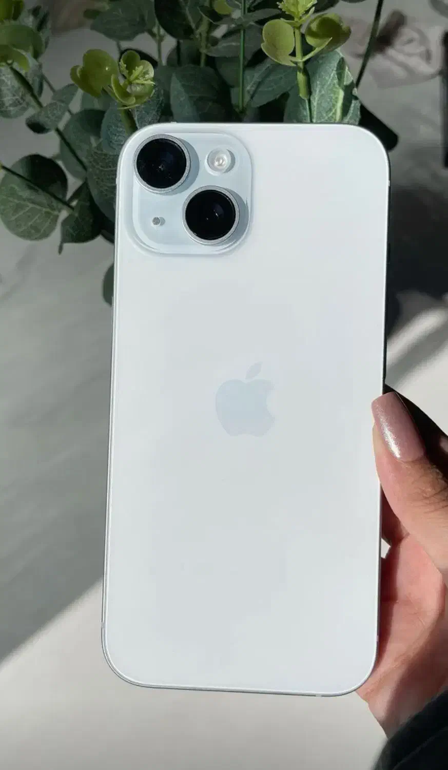 اپل iPhone 15 با حافظهٔ ۱۲۸|موبایل|تهران, گیشا|دیوار