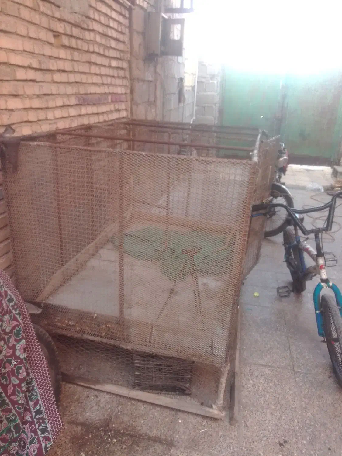 قفس کبوتریاکفتر بامیله گرد14و16|پرنده|بندر ماهشهر, |دیوار