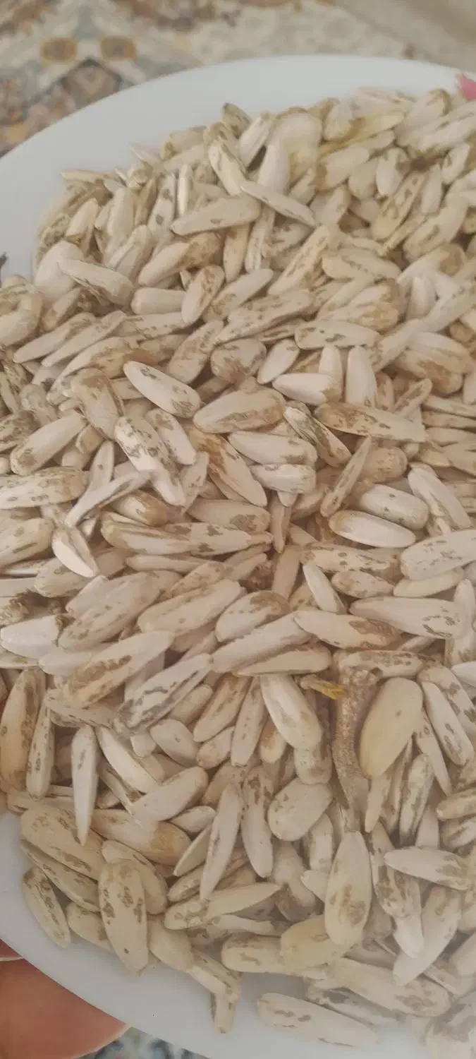 تخمه آفتاب گردان سفید|خوردنی و آشامیدنی|خرم بید, |دیوار