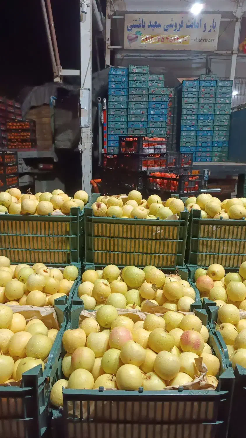 حسابدار|خدمات مالی، حسابداری، بیمه|سبزوار, میدان بار|دیوار