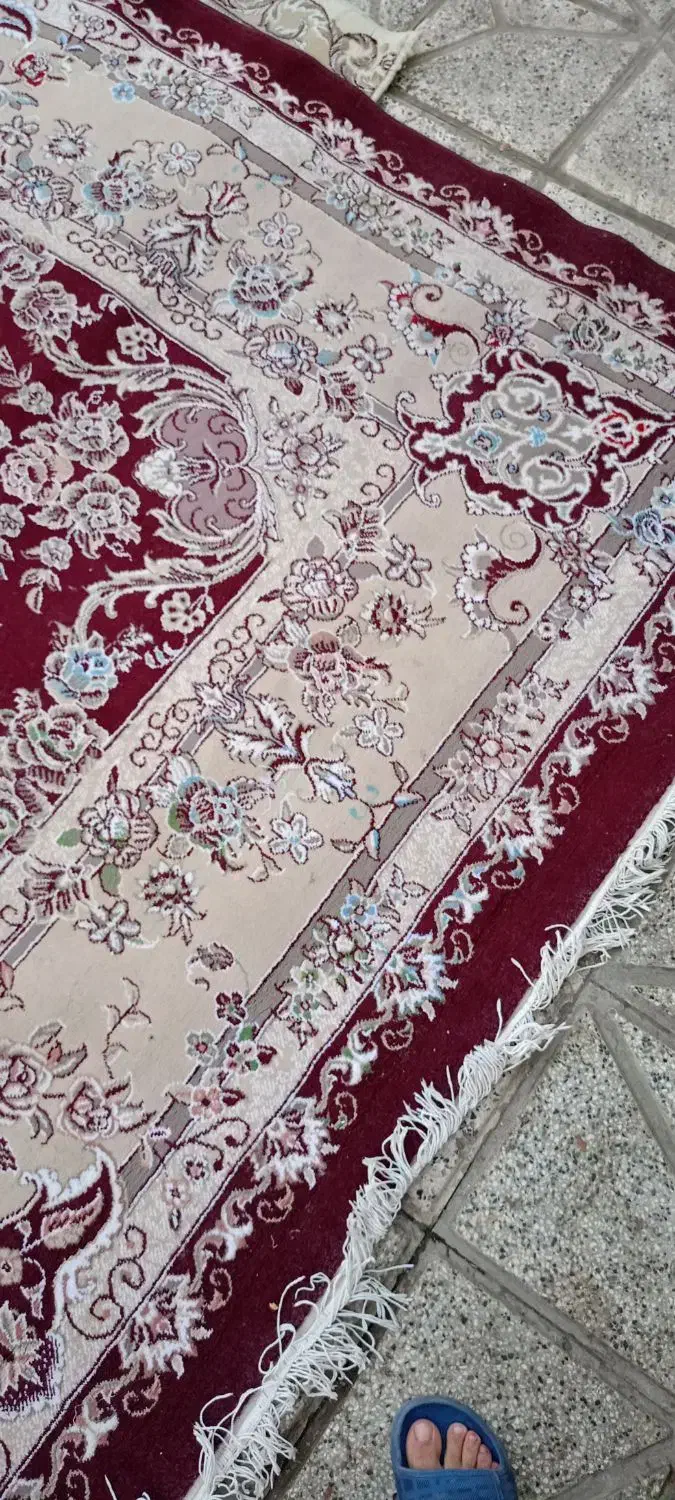 فرش ۱۲متری زمینه لاکی|فرش|نیشابور, مدرس|دیوار
