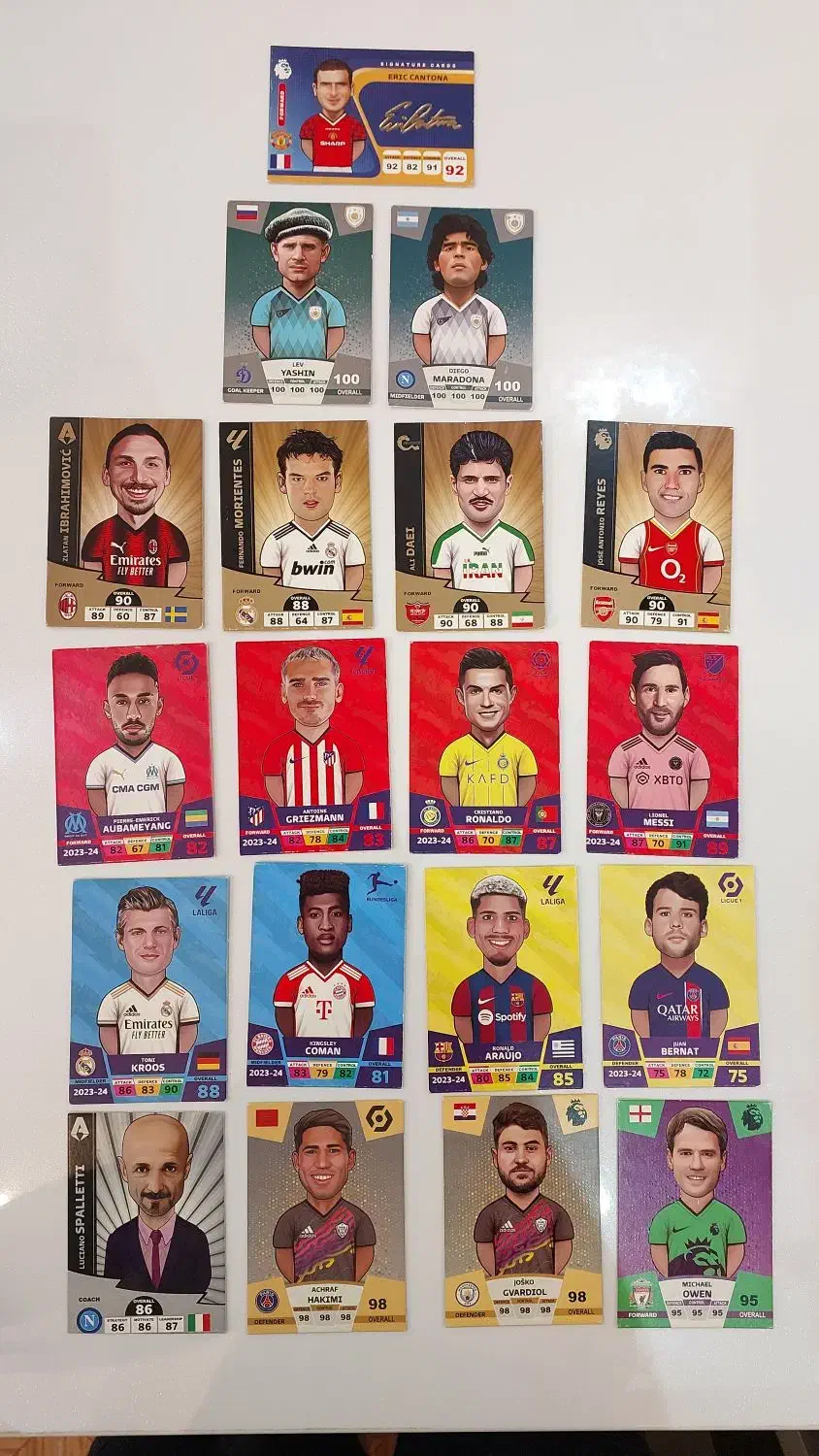 کیمدی|کلکسیون و سرگرمی|رشت, کاکتوس|دیوار