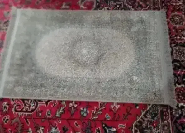 دو عدد پادری نو|پادری|تبریز, |دیوار