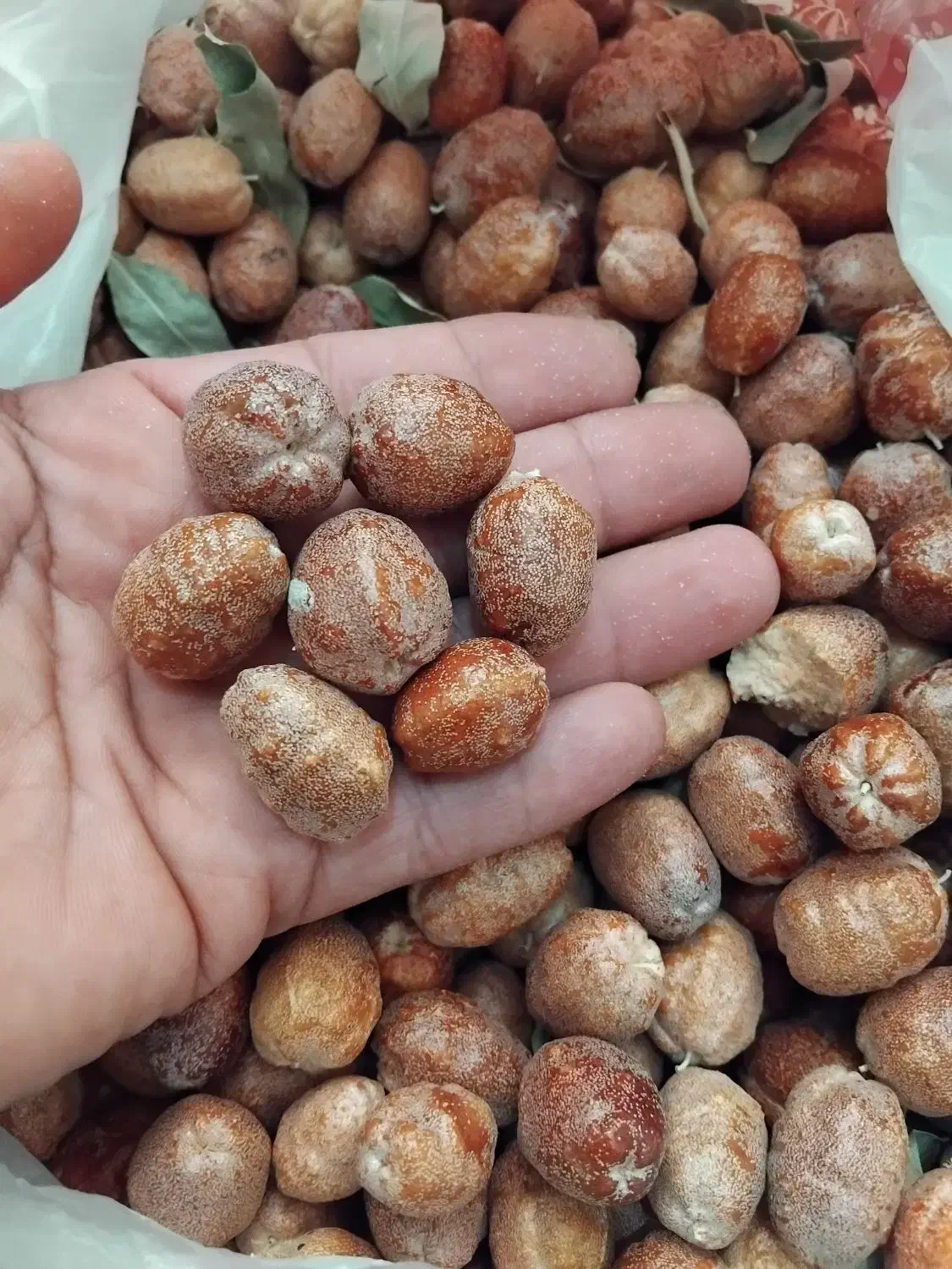 سنجد|خوردنی و آشامیدنی|قلندر آباد, |دیوار