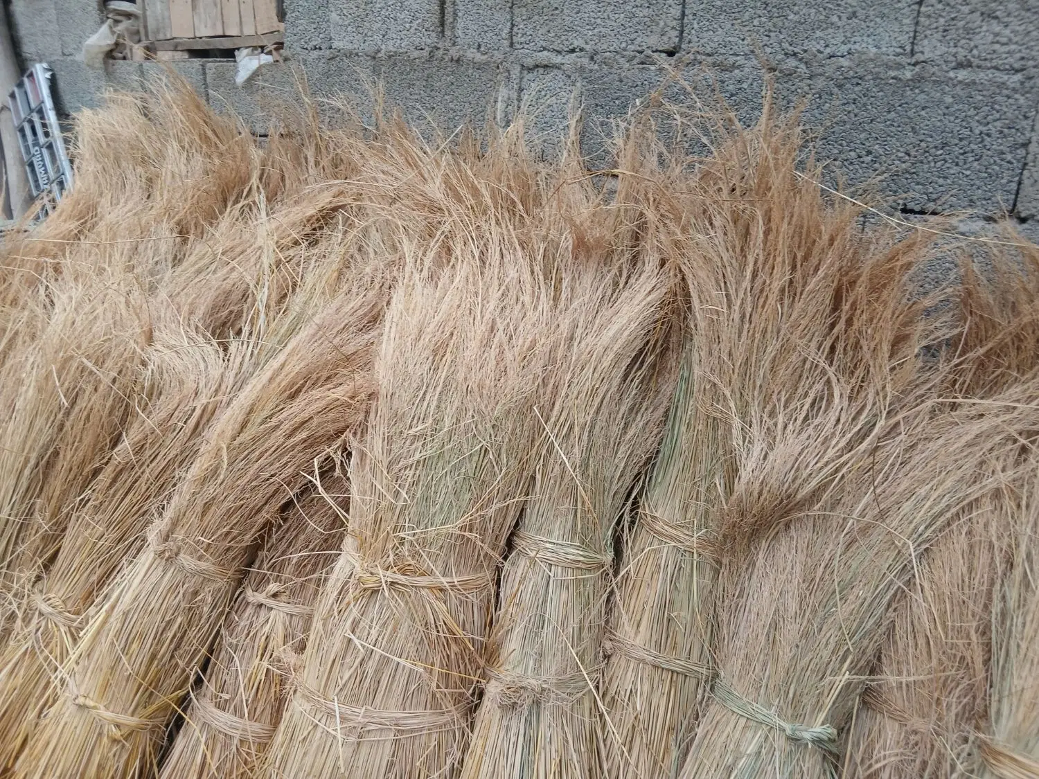 کشاورزی|خدمات باغبانی و درختکاری|قاهان, |دیوار