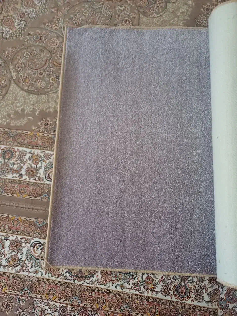 پالاز موکت نونو|موکت|قم, شاد قلی|دیوار