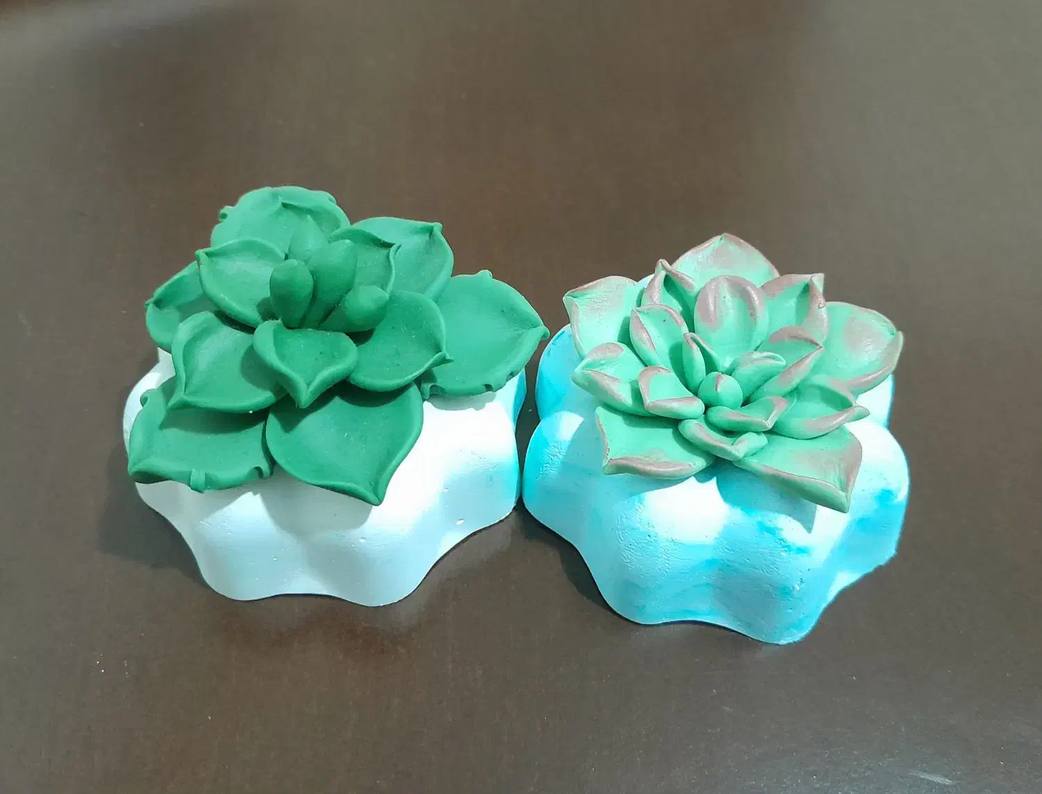 گلدان کاکتوس|گل مصنوعی|قم, قلعه یزدیها|دیوار