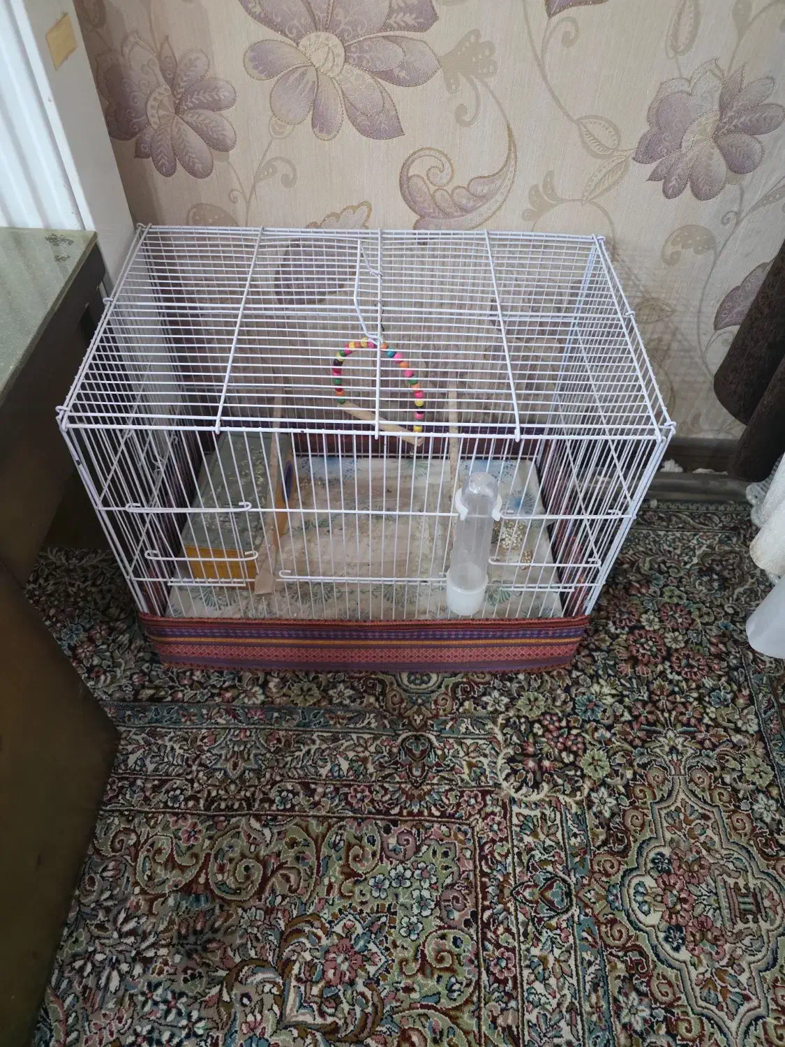 قفس پرنده|لوازم جانبی حیوانات|کرمان, |دیوار