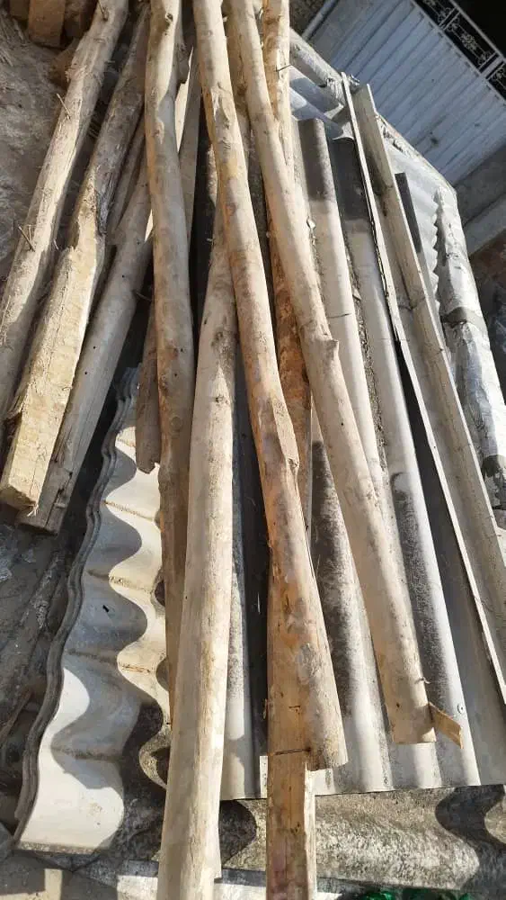 خرید چوب باغی ساختمانی زغالی|خدمات باغبانی و درختکاری|گرگان, |دیوار