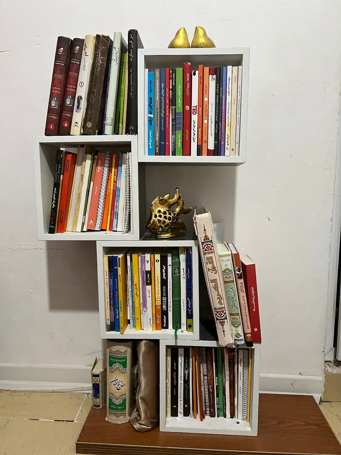 کتابخانه وتاح تخت|کتابخانه، شلف، قفسه‌های دیواری|بندرعباس, |دیوار