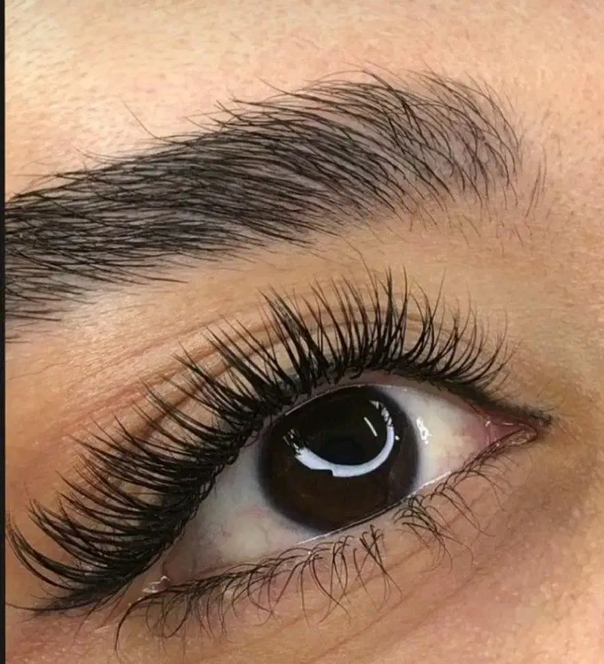 اکستنشن مژه لیفت|خدمات آرایشگری و زیبایی|زابل, |دیوار