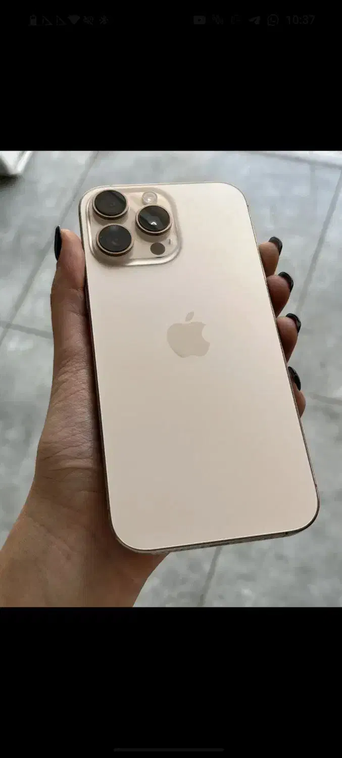 16promaxباگارانتی|موبایل|قم, ارم|دیوار