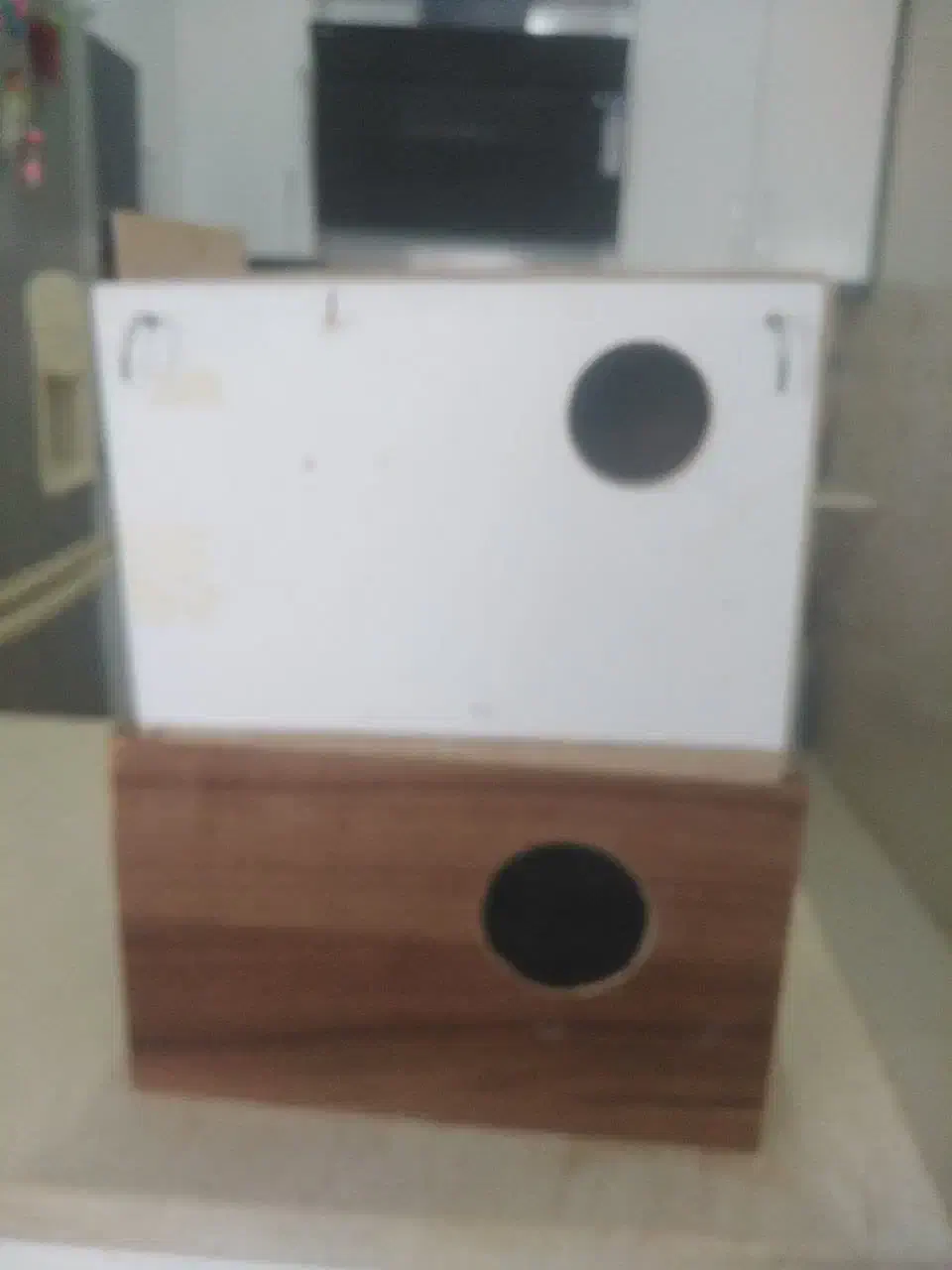 لونه عروس هلندی  و لونه مرغ عشق|لوازم جانبی حیوانات|طبس, |دیوار