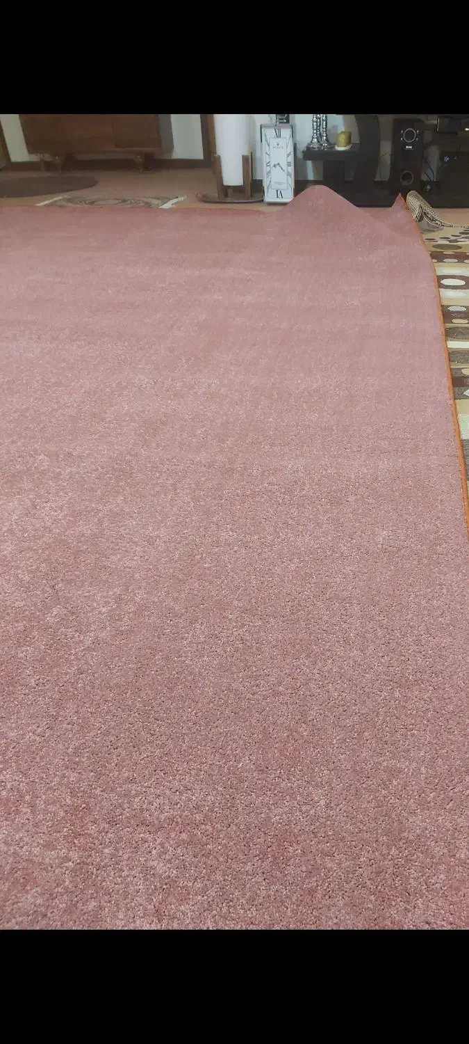 پالاز|موکت|شاهین‌شهر, نبوت|دیوار