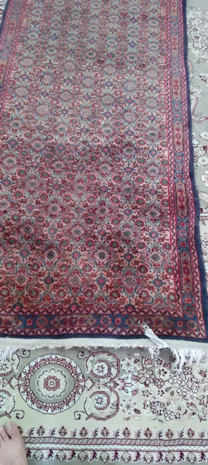 کناره دست باف|فرش|مشهد, توس (بلوار توس)|دیوار