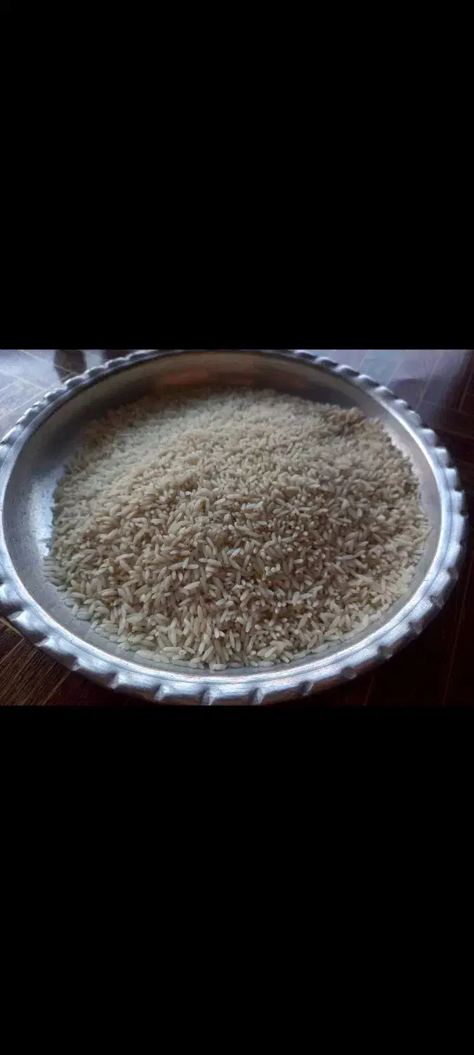 فروش برنج بهنام کشت دوم|عمدهفروشی|قائمشهر, |دیوار