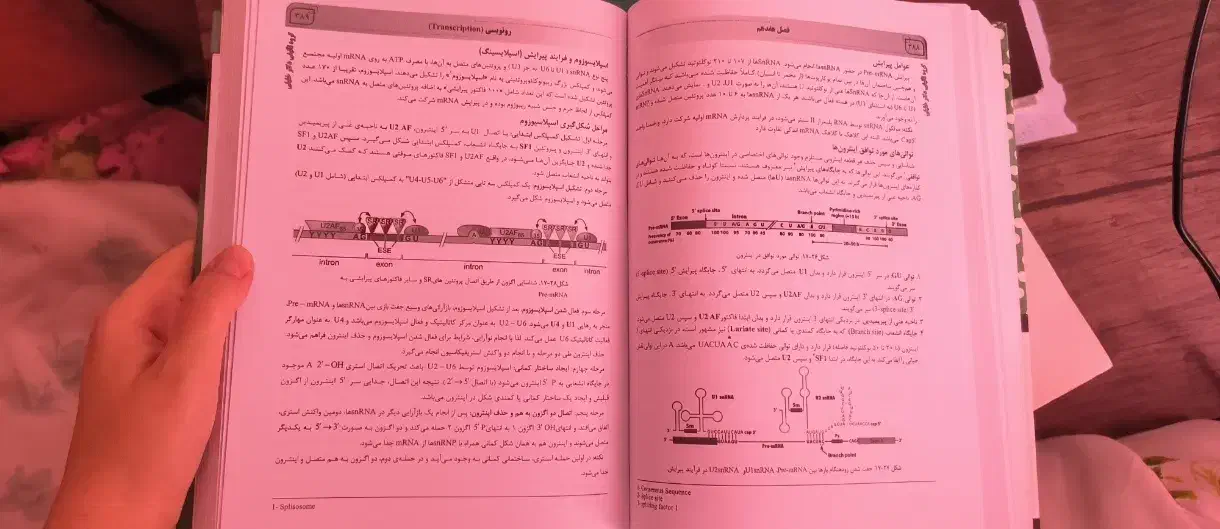 فروش منابع ارشد گروه علوم آزمایشگاهی،بیوتکنولوژی..|کتاب و مجله آموزشی|شیراز, شهرک گلستان شمالی|دیوار