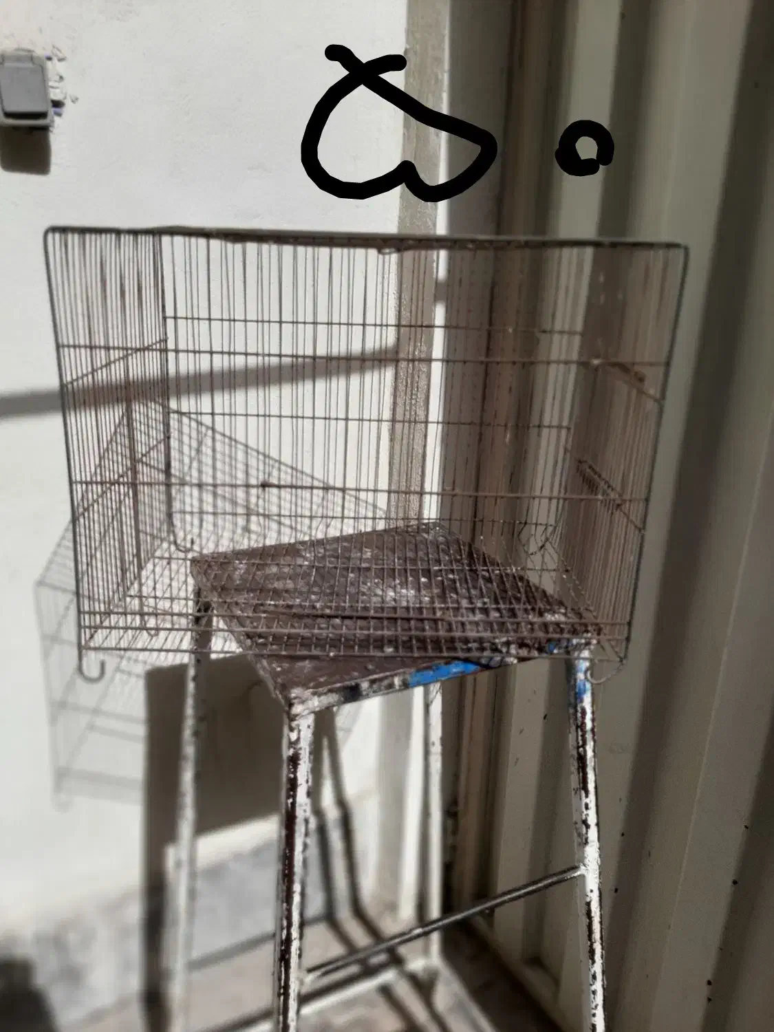 قفس طرقه سهره و قناری|لوازم جانبی حیوانات|ری, اقدسیه|دیوار