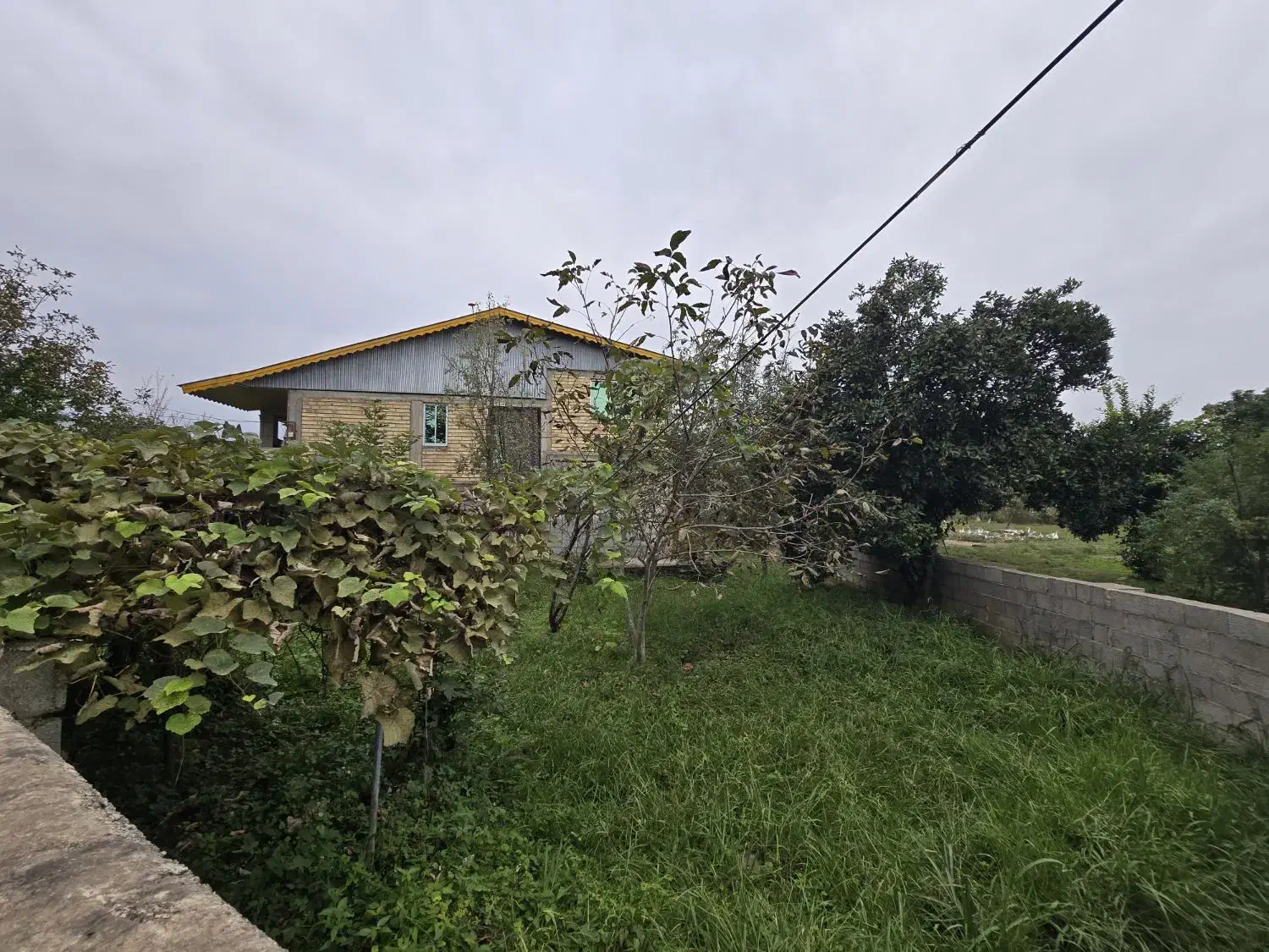 ۲۲۵ متر زمین مسکونی دور دیوار روستایی رضوانشهر|فروش زمین و ملک کلنگی|رضوانشهر, |دیوار