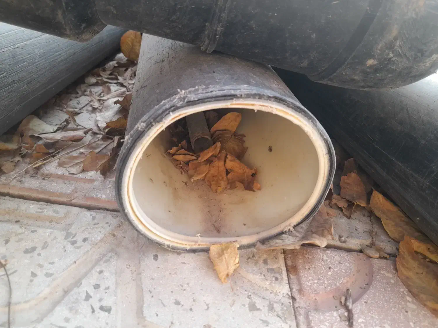 فروش لوله کشاورزش ۶ و ۴ اینچ|مصالح و تجهیزات ساختمان|خرمدشت, |دیوار