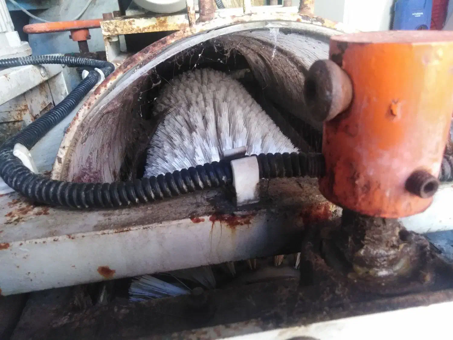 قالیشویی ومبل شویی عصر جدید|خدمات نظافت|چالوس, |دیوار