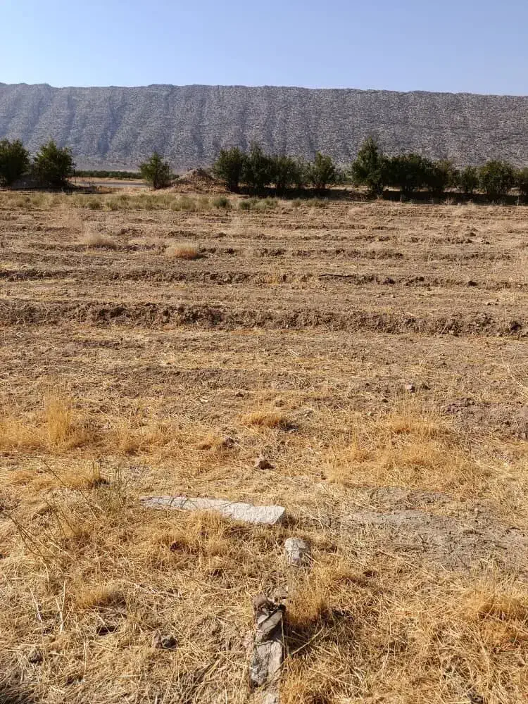 فروش باغچه تفریحی|فروش زمین و ملک کلنگی|میمند, |دیوار