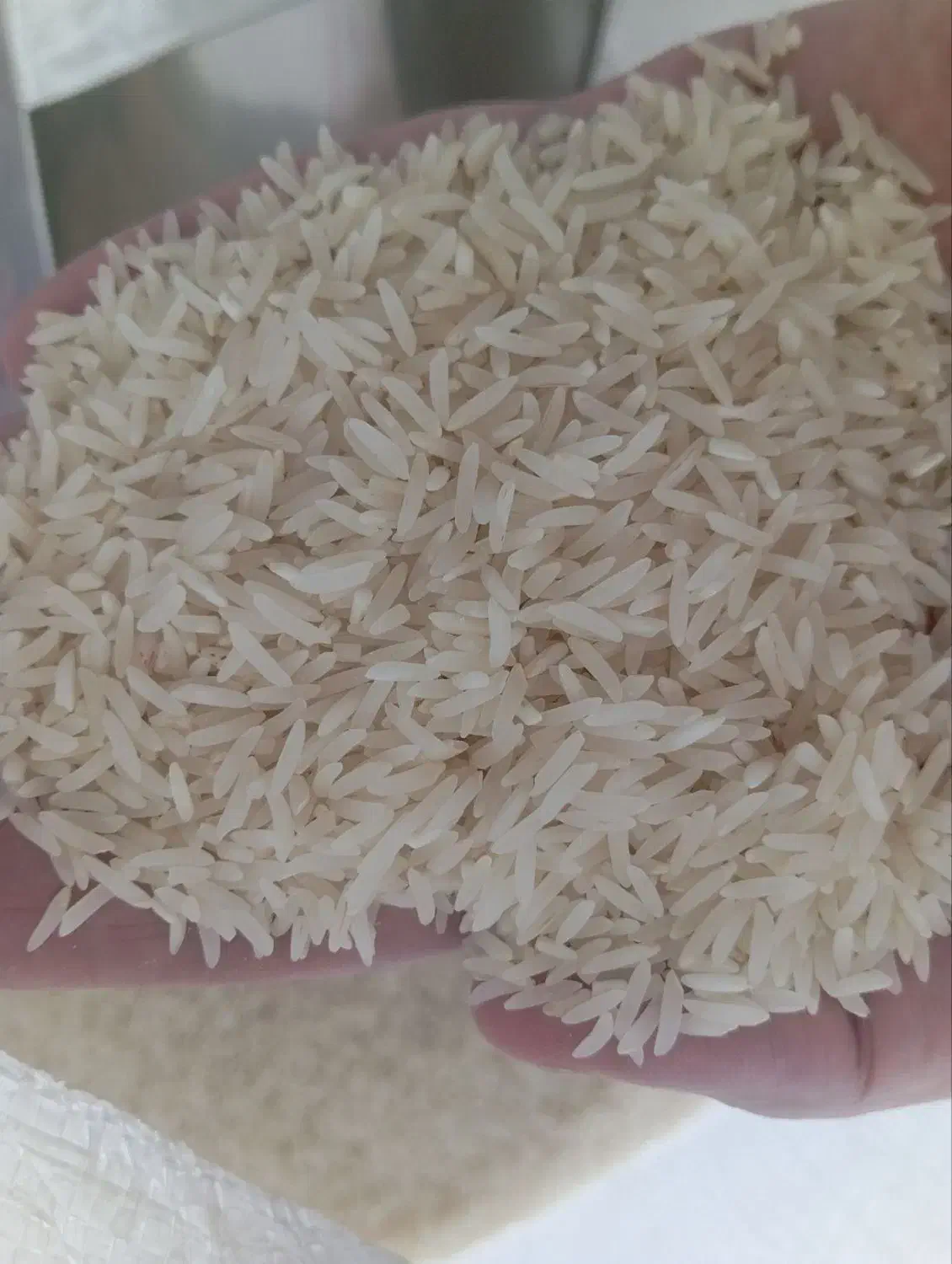 برنج خوش پخت و خوش عطر|خوردنی و آشامیدنی|آزادشهر, |دیوار