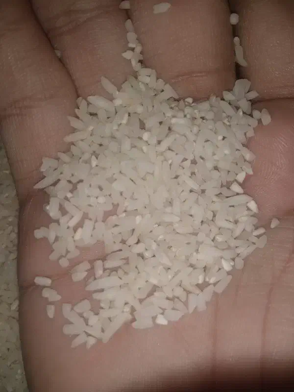 برنج سر لاشه هاشمی اعلاء طعم ایرانی پخت دانه بلند|خوردنی و آشامیدنی|قزوین, |دیوار