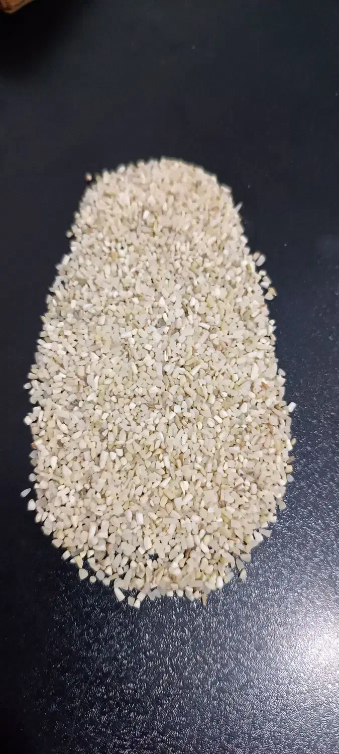 نیم دانه هاشمی|خوردنی و آشامیدنی|زرگرشهر, |دیوار