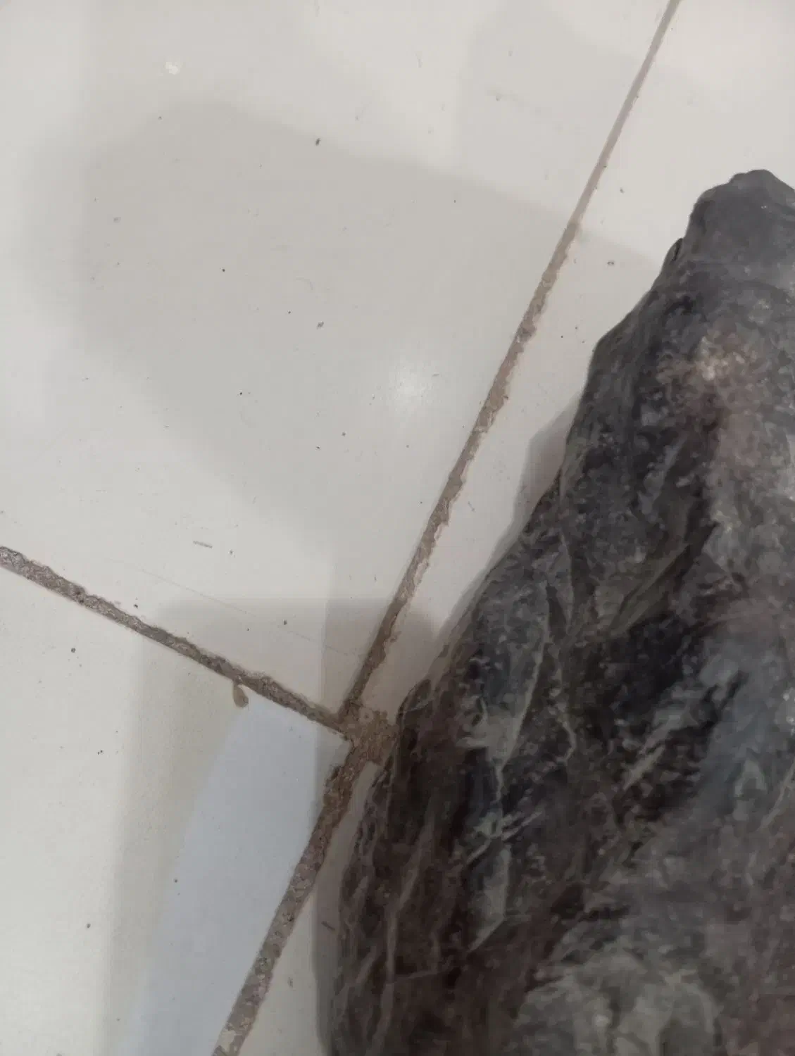 شهاب سنگ|جواهرات|بیرجند, |دیوار