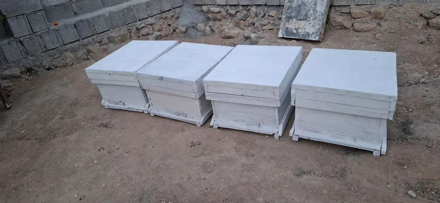 چهار عدد کندو با قاب|لوازم جانبی حیوانات|کوه چنار, |دیوار