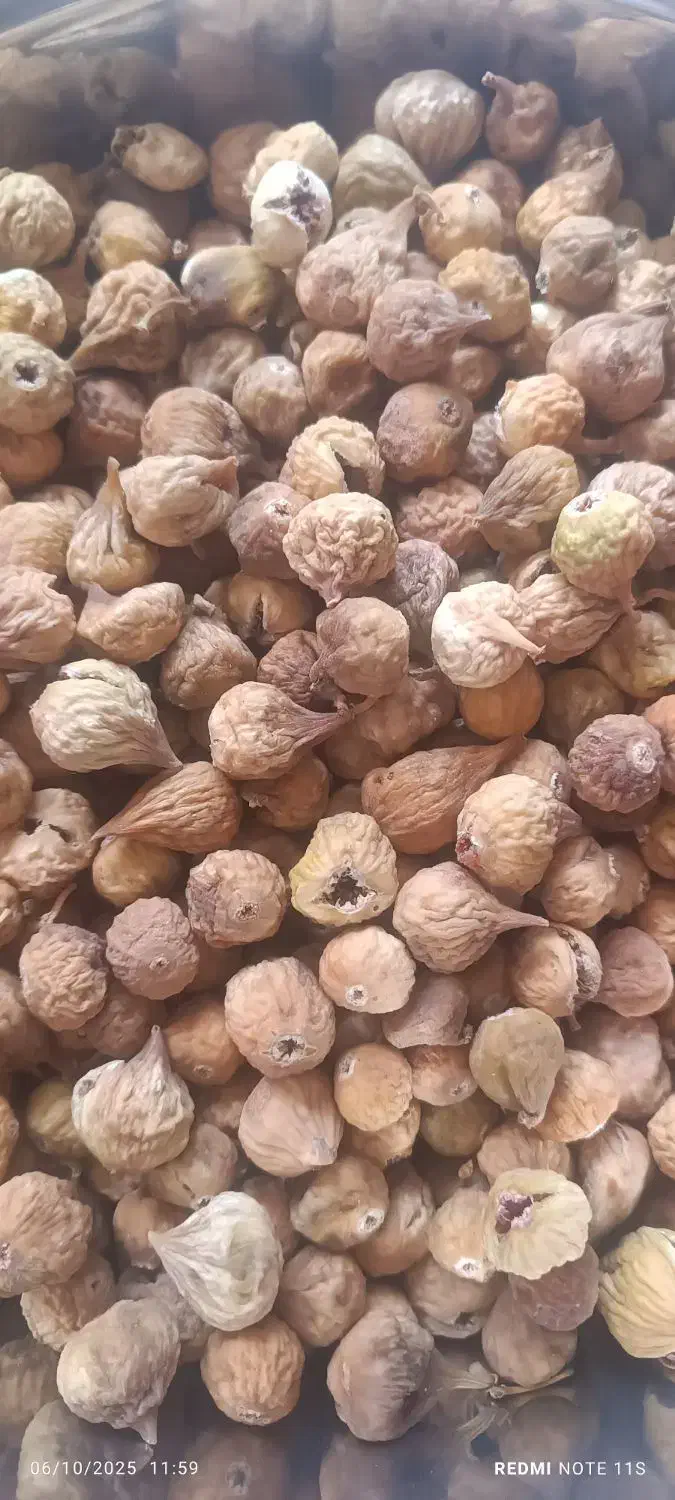 انجیر ومویز سیاه|خوردنی و آشامیدنی|شیراز, شهرک مدرس|دیوار