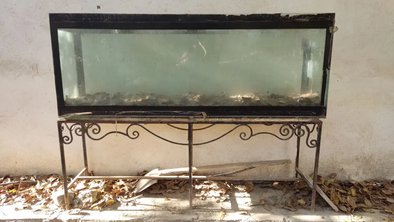 آکواریوم بزرگ|ماهی|شاندیز, |دیوار