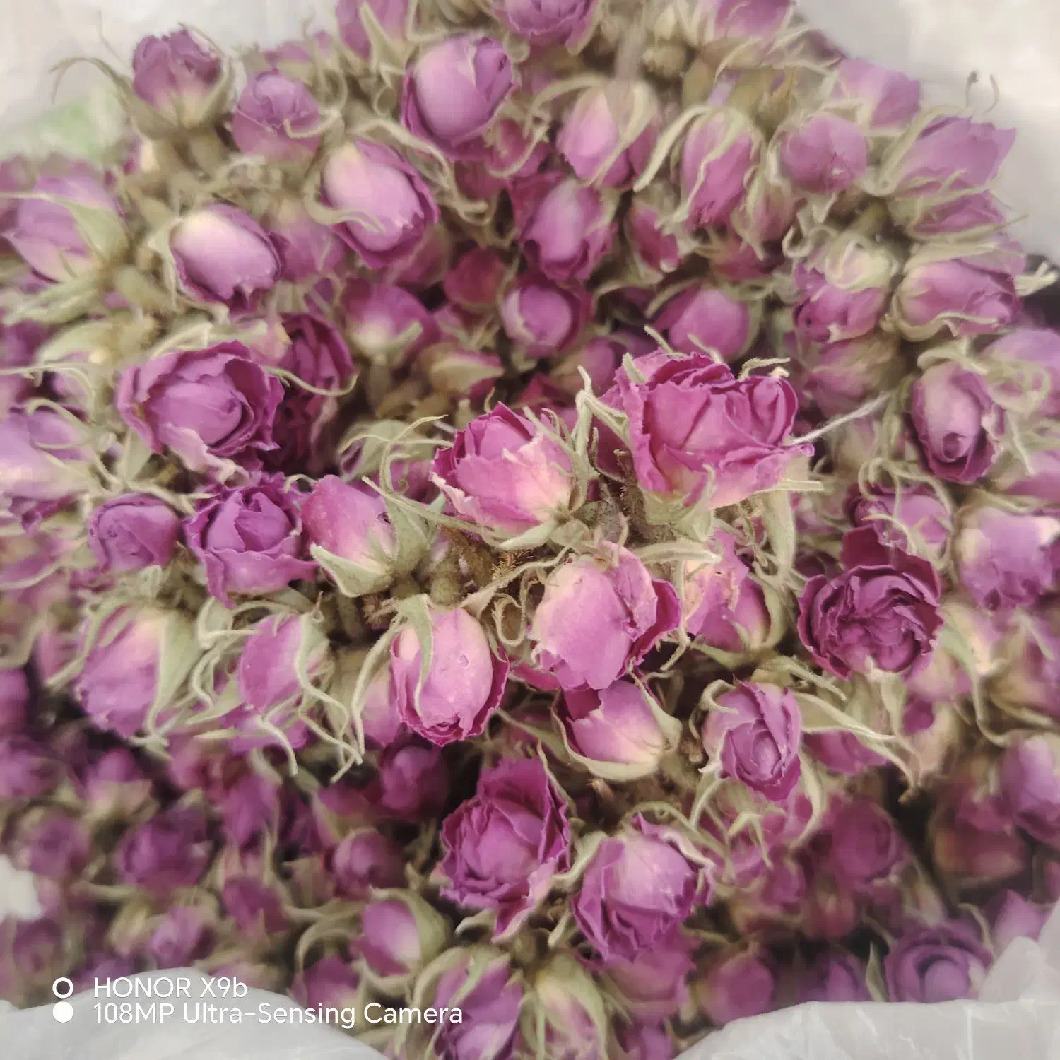 غنچه گل محمدی|خوردنی و آشامیدنی|خوسف, |دیوار