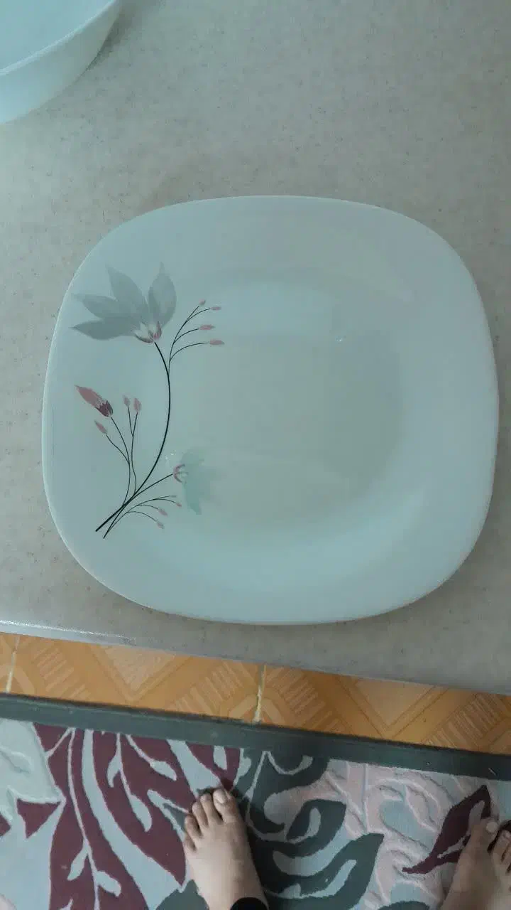 ۲دست آکروپال  اسپانیا|ظروف سرو و پذیرایی|قم, نیروگاه|دیوار