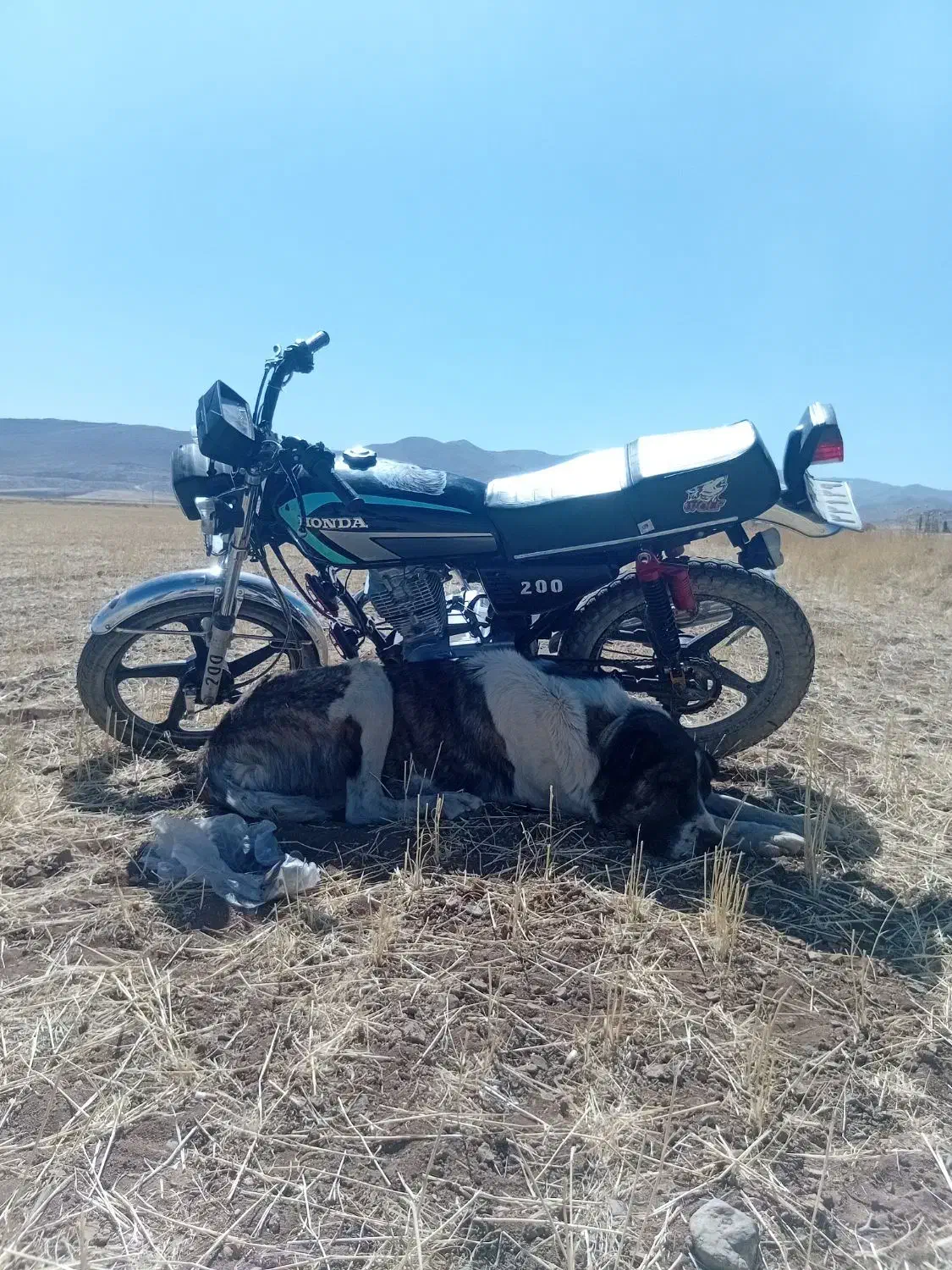 موتورهندا200سی سی|موتورسیکلت|قروه, |دیوار