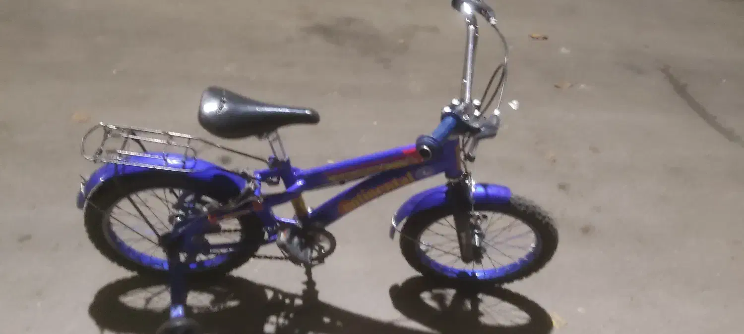 دوچرخه 16|دوچرخه، اسکیت، اسکوتر|اسفراین, |دیوار