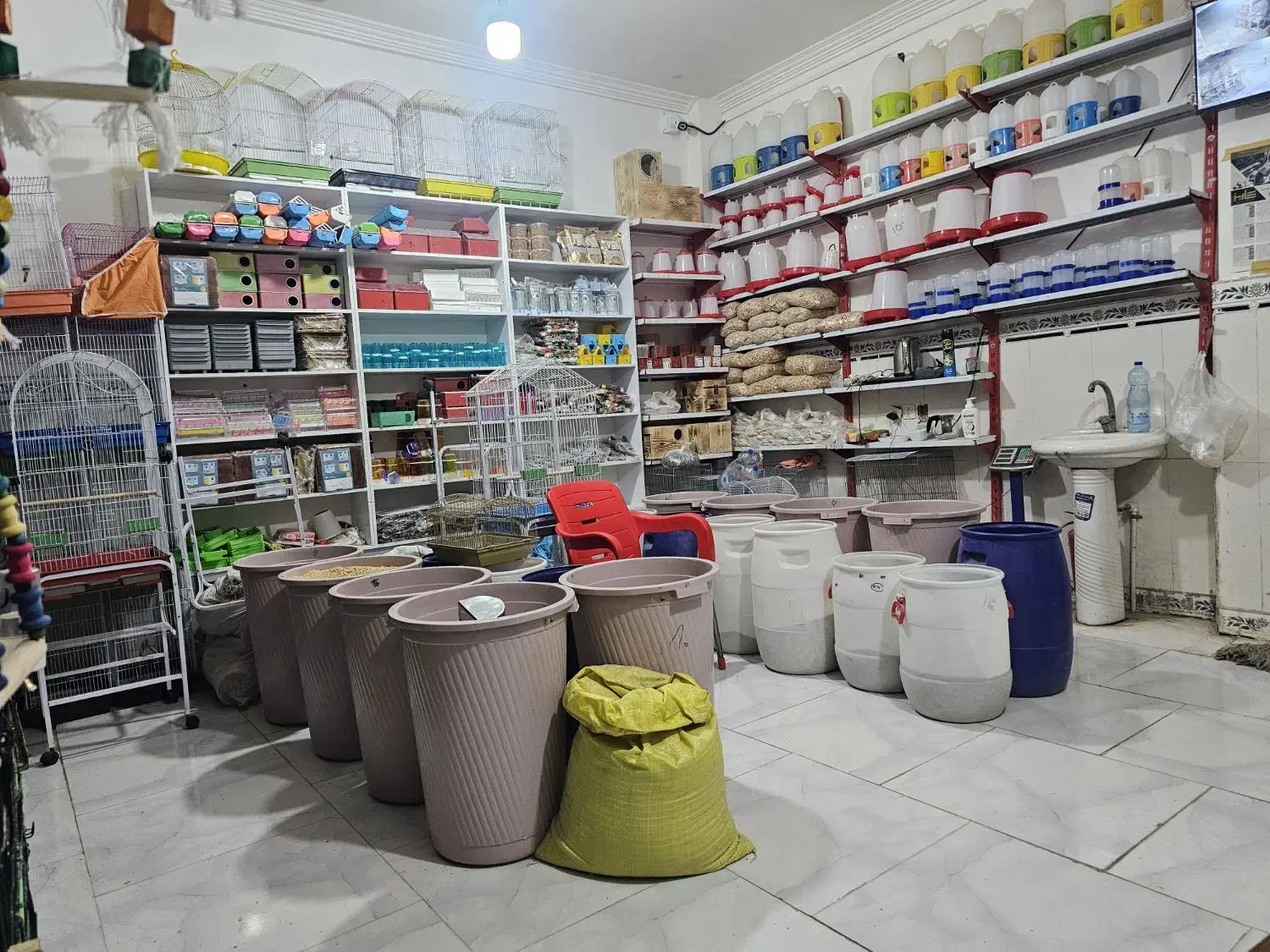 واگذاری پرنده سرای طاووس گلشهر|فروشگاه و مغازه|چابهار, |دیوار