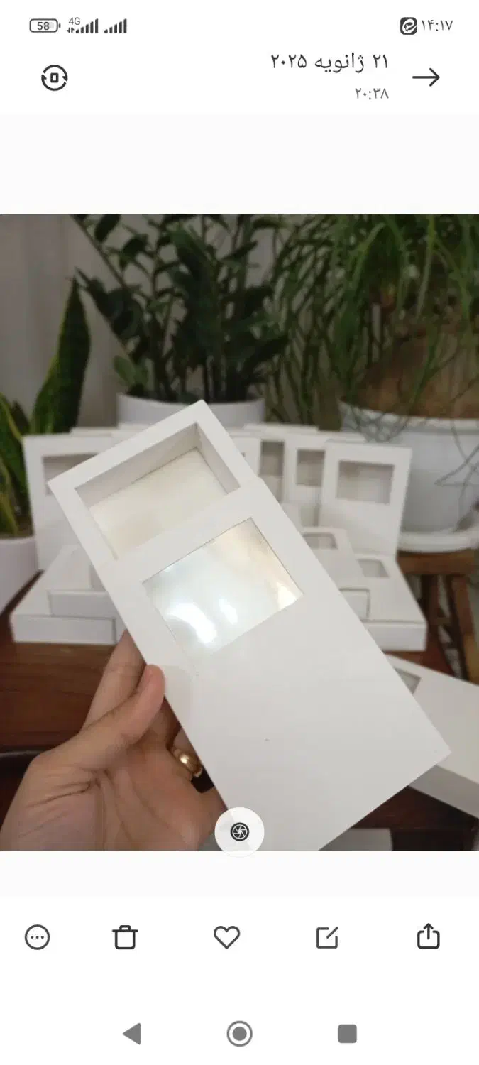 انواع باکس و جعبه یلدا ،شیرینی،هدیه،پذیرایی|ظروف نگهدارنده، پلاستیکی، یکبارمصرف|مشهد, موسوی قوچانی|دیوار