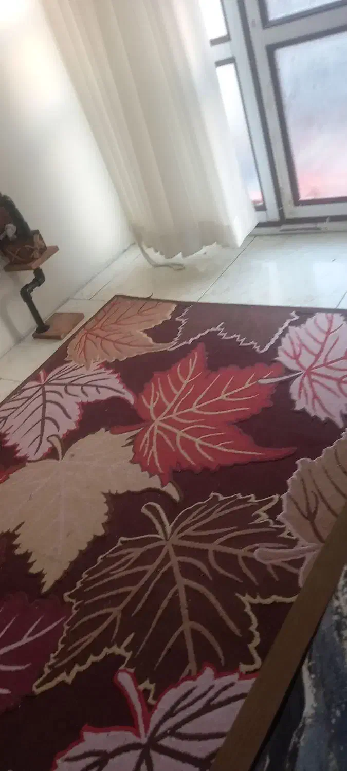 گلیم فرش|فرش|قائمشهر, |دیوار