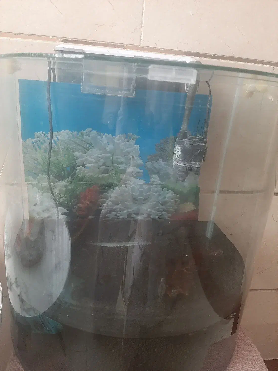 اکواریوم بزرگ|ماهی|میناب, |دیوار