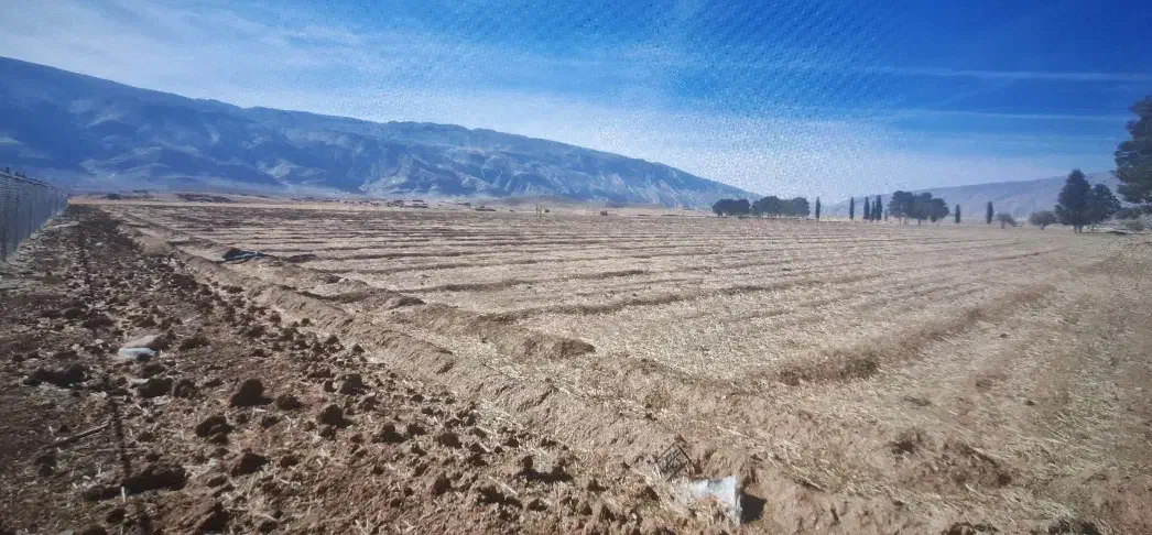 فروش زمین کشاورزی|فروش زمین و ملک کلنگی|استهبان, |دیوار