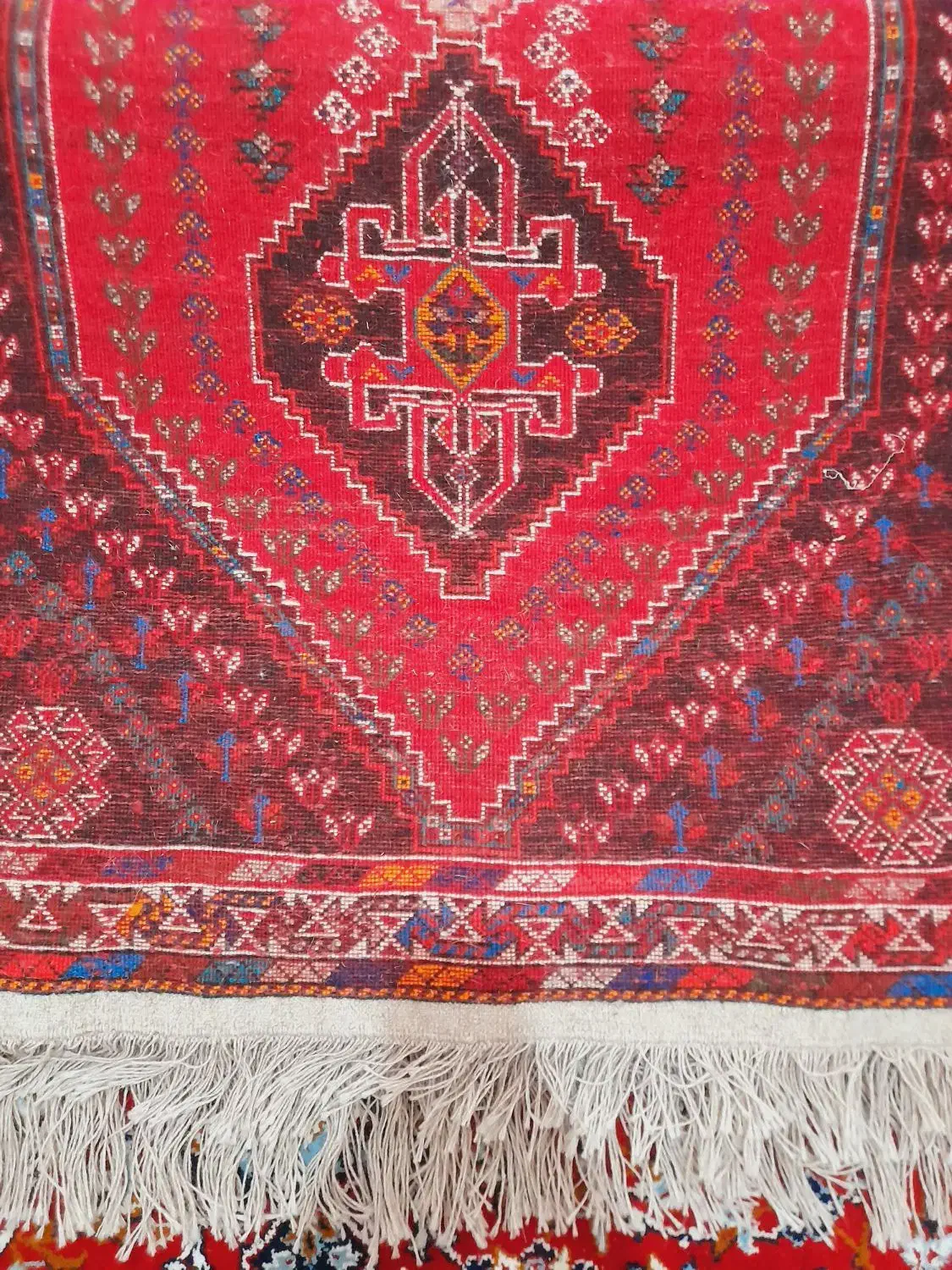 قالیچه دستبافت|فرش|شیراز, داریون|دیوار