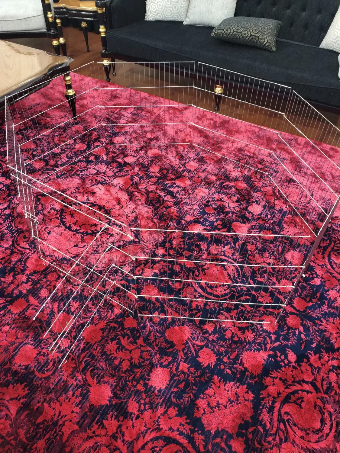 پارک سگ|لوازم جانبی حیوانات|کرج, عظیمیه|دیوار